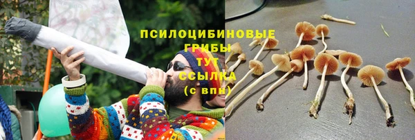 apvp Тихорецк