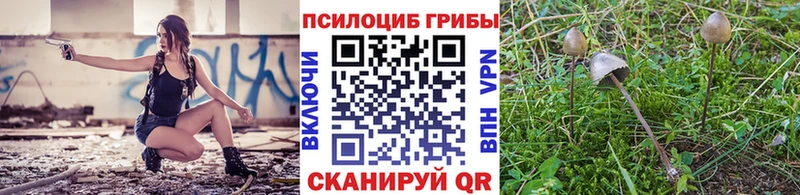 Псилоцибиновые грибы мухоморы  Завитинск 